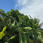 Gites Titanse, La Cabane Dans L Arbre