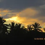 Pelicano Tropical Paraiso Samana