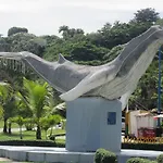 Pelicano Tropical Paraiso Samana