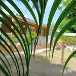 Bungalow Papaye