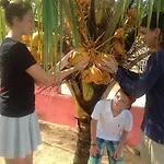 Rainbow Beach Apartments & Rooms