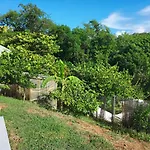 La Villa Caribeenne De La Plage Des Surfeurs