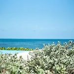 Pasha - Ocean View