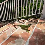Residence Caraibes Bonheur