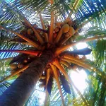 Blue Horizon Boutique Resort (Adults Only)