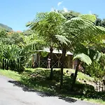 Natty Tropical Valley