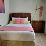 Casa de Tortuga Guesthouse