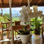 Villa Solymar
