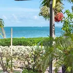 Pasha - Ocean View