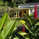 Les Cycas