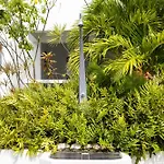 Palm Crest
