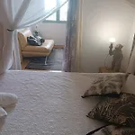 Racoon Lodge