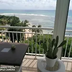 Beach Front Bamboo
