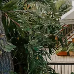 Cruz Bay Tropical Condo