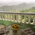 Matthew\'S Miracle View