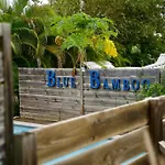 The Bluebamboo