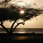 Aruba Sunset Beach Studios