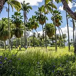 Residence Fort Savane