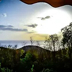 Harmonie Tropicale