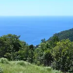 Diamond View Cottages