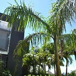 Reve De St. Barth