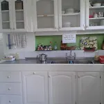 Rio Guest House