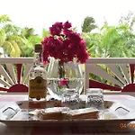 Nid Tropical Pour Deux