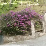 Boinin Heart Villa