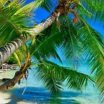 Cambourg Lodge Resort