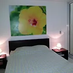 Hibiscus