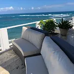 The View