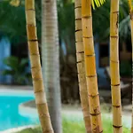 Condo Armonia At Reef View Pavilions