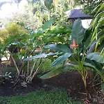 La Sainterosienne