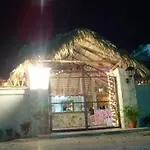Crisali