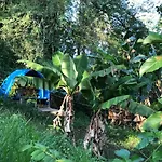 Camping National Park Close To Beach
