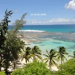 Beach Front Bamboo
