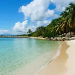 Sunny Apartment In Guadeloupe W/ Air-Con, Stunning Garden Views, Garde