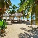 Sunny Apartment In Guadeloupe W/ Air-Con, Stunning Garden Views, Garde