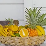 O Coeur De Deshaies Appartements Grande Anse Et Amandiers