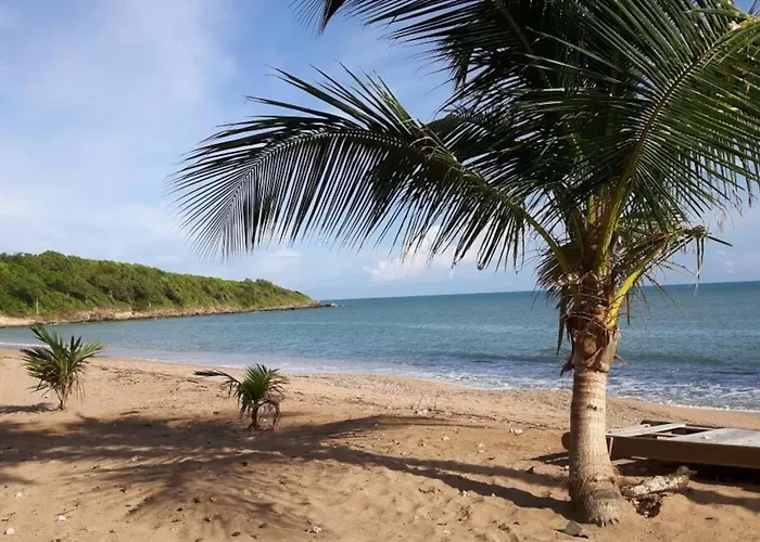 Bungalow Sur Magnifique Plage-Le Nid D\'Amande