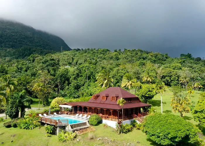 Jardin Malanga