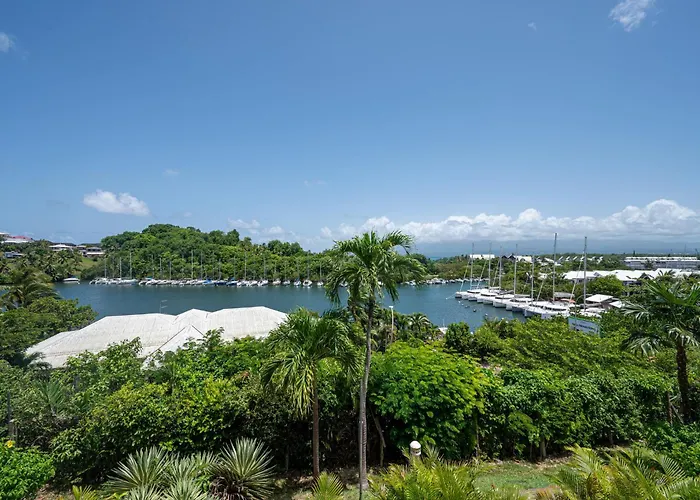 Studio, Piscine Et Vue Mer A La Marina