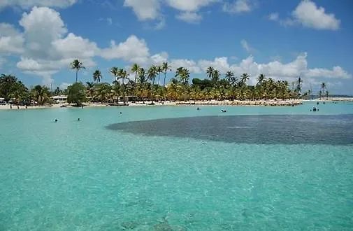 Coeur De Mer