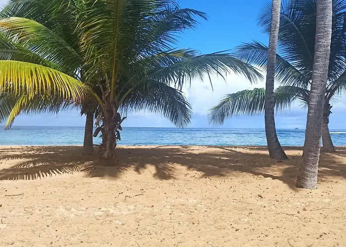 Appartement Alize Vue Imprenable Sur La Mer