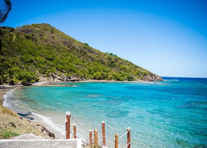 Ti\' Paradis