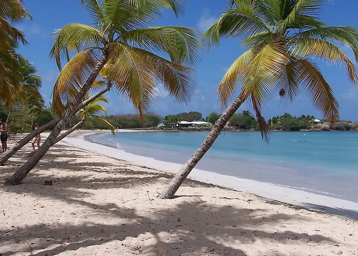 Little Paradise
