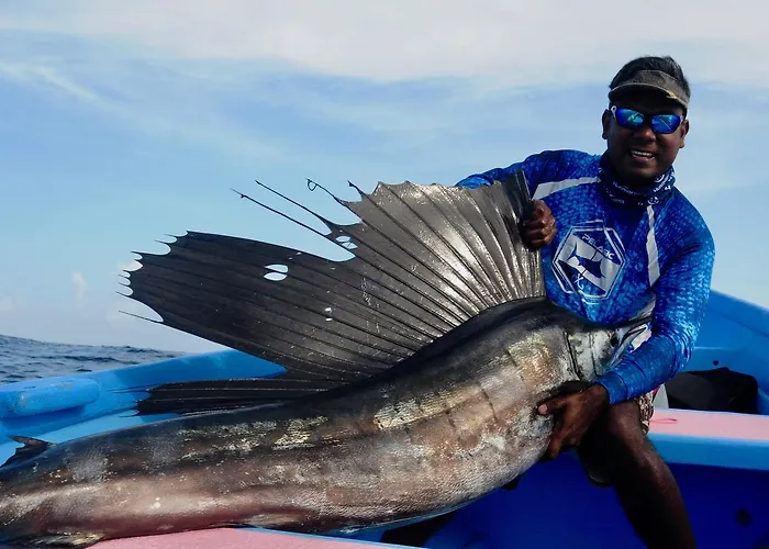 Fish Tobago Guesthouse