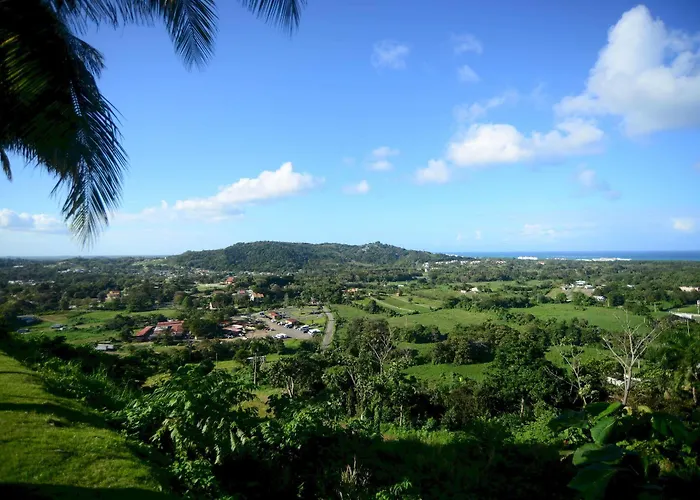 Rainforest & Ocean View Inn At Carabali