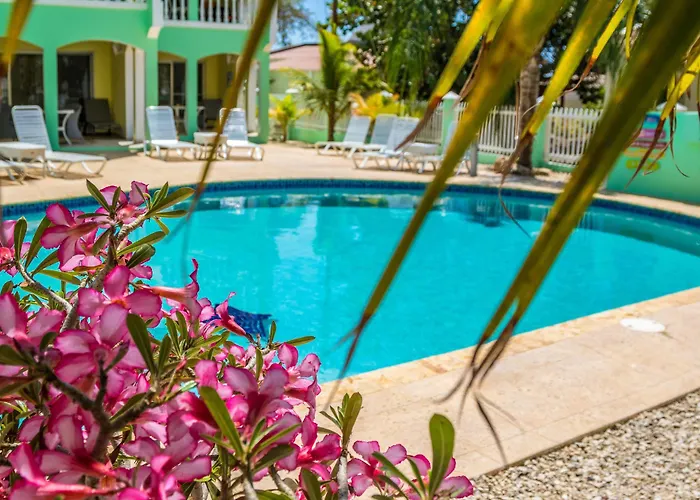 Coral Paradise Resort