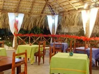 Crisali